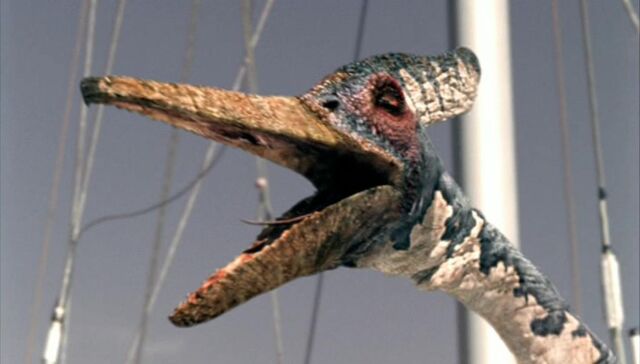 File:Pteranodon sm.jpg
