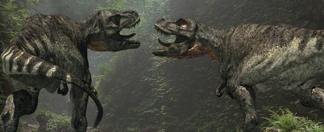 File:Trex face to face.jpg