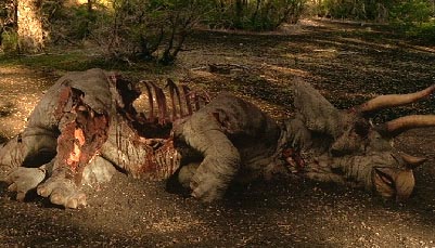 File:Triceratops wwd.jpg