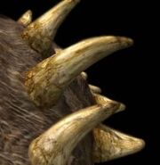 Polacanthus p3