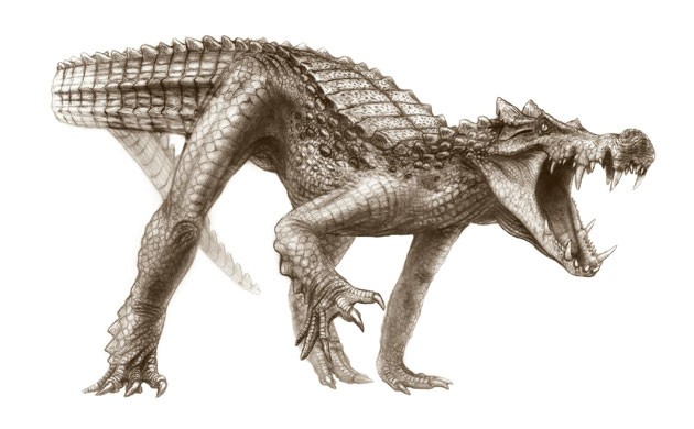 File:Kaprosuchus saharicus.jpg
