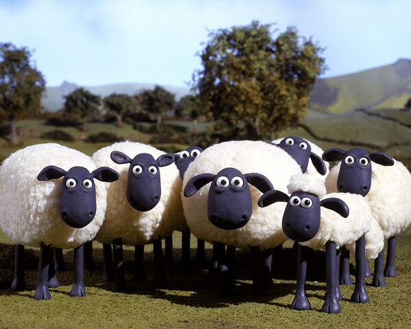 File:Flock.jpg
