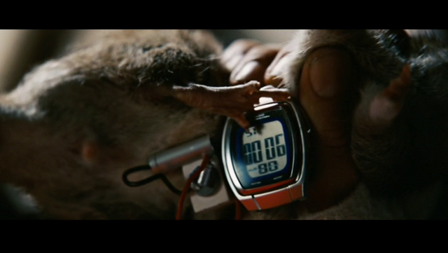 File:Explosive Rat Timer.png