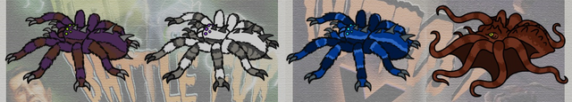 File:Rachnon skins.png