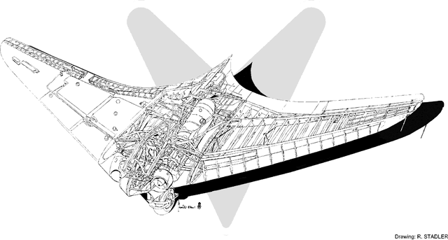 File:Ho-229b.gif