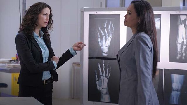 File:Vendetta2.jpg