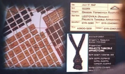 Artifact (2)