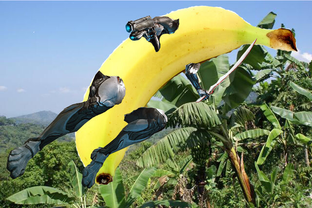 File:BananaFrame zps5f35e0f1.jpg
