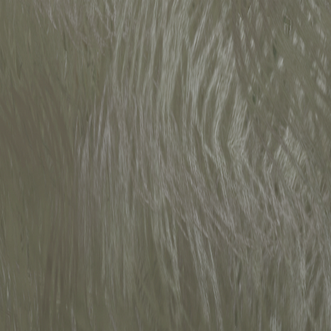 File:Forest Grey.png