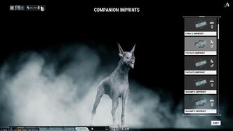 kubrow warframe wikia bug vs patas