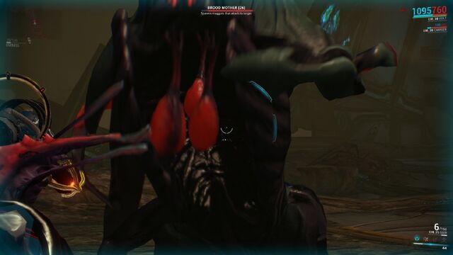 File:BroodMotherChest.jpg