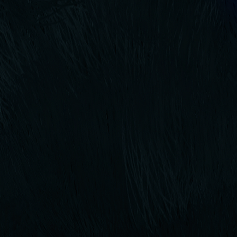 File:Derelict Black.png