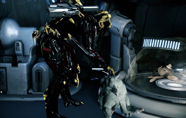 File:Pet Baby Kubrow.jpg