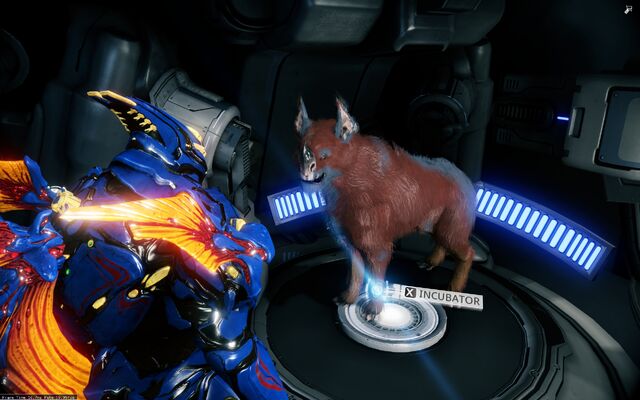 File:Orange Kubrow.jpg