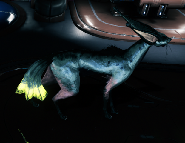 File:Kavat 6.2.png