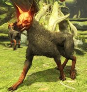 KUBROW.jpg