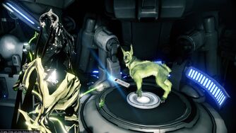 kubrow warframe wikia