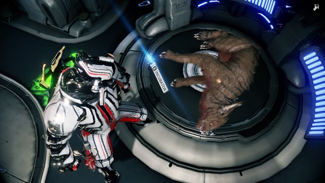 File:Play dead.jpg