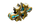 Forma.png