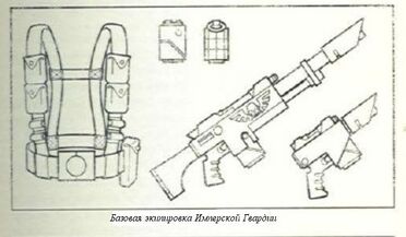 509f8bf4403b.jpg