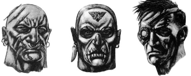 File:OrkHunterHeads.jpg