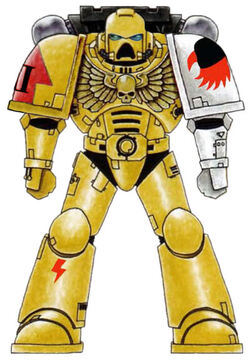 Solar Hawks Colour Scheme