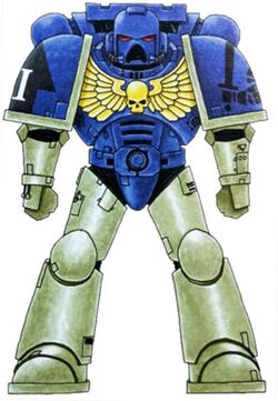Imperial Castellans Astartes