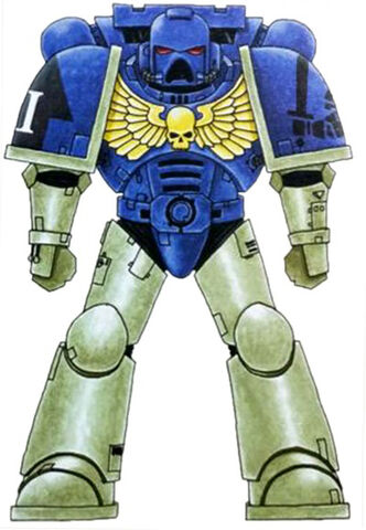 File:Imperial Castellans Astartes.jpg