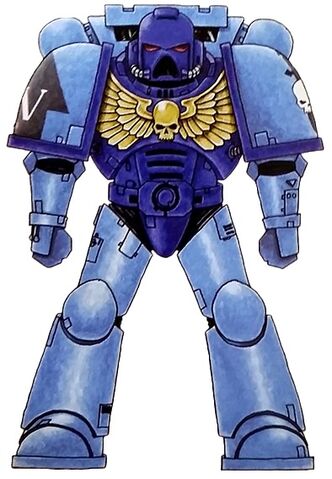 File:Sky Sentinels Astartes.jpg