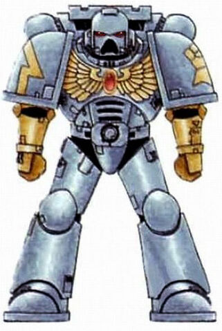 File:Iron Fists Battle-Brother.jpg