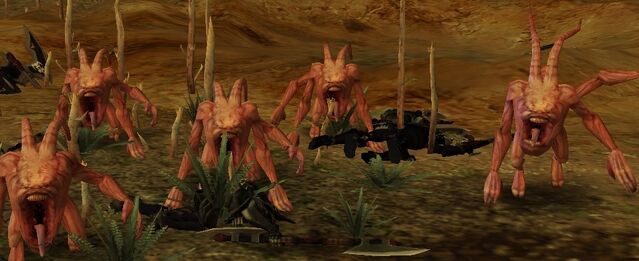 File:Dow Horrors.jpg