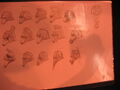 Thumbnail for version as of 16:42, October 15, 2011