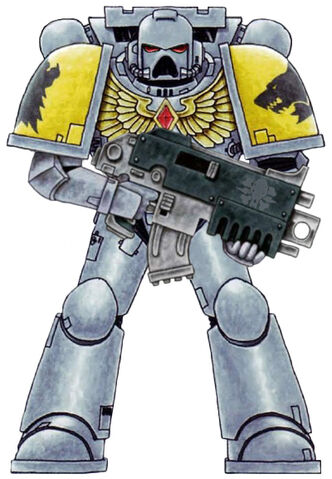 File:SpaceWolvesChapterColours.jpg