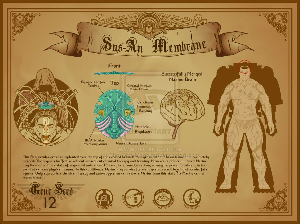 Susan Membrane Warhammer 40k FANDOM powered by Wikia