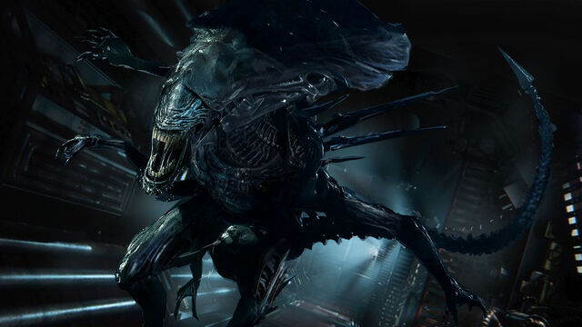 File:687474703a2f2f696d6730392e64657669616e746172742e6e65742f616237312f692f323031362f3130362f392f352f616c69656e5f717565656e5f7769705f62795f756e63616e6e796b6e61636b2d64397a36727a762e6a7067.jpg
