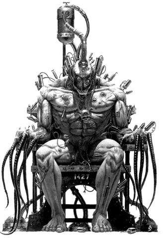 File:Arcoflagellant.jpg