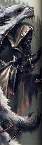 File:Mantle of The Champion.jpg