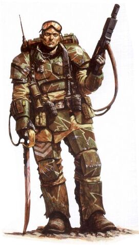 File:Cadian NCO.jpg