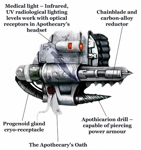 File:Narthecium schematic.jpg
