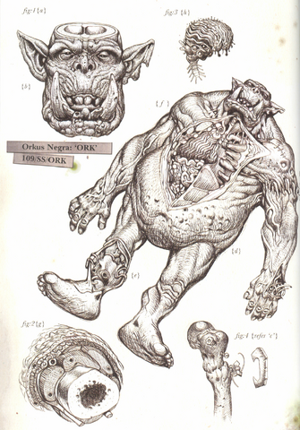 File:Ork Post-Mortem Sketch.png