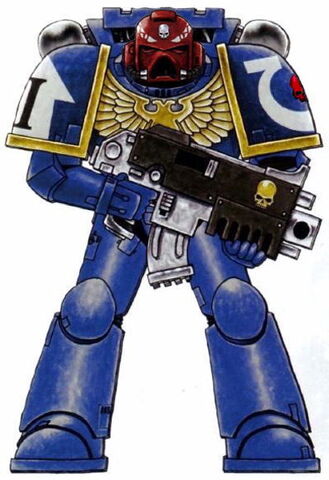 File:Ultramarines Vet Sgt 2.jpg