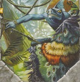 Cloak of Feathers