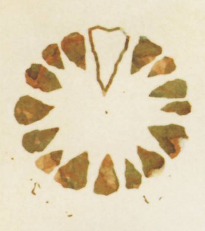 Goldtooth Tribe