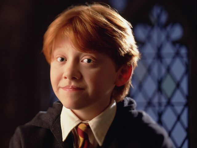 File:Harry-Potter-and-the-Philosopher-s-Stone-2001-books-male-characters-29853588-1024-768.jpg