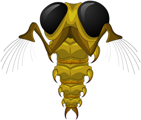 File:Greetle.png