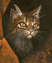 250px-CCTigerstar.jpg