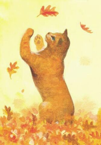 Bestand:Squirrelpaw.jpeg
