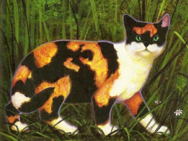 Bestand:Tawnypelt.jpg