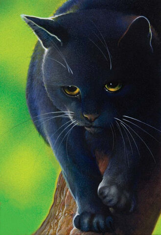 Datei:CCCrowfeather.jpg
