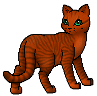 Warrior Cat Scharfkralle Warrior Cat Scharfkralle